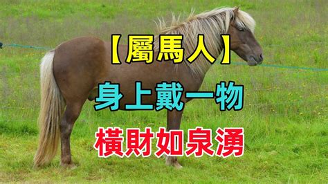 屬馬的什麼名最好 帶馬歸槽